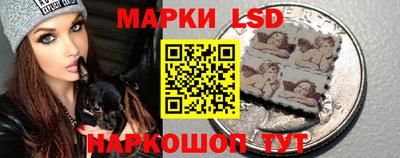 гидропоника Донской