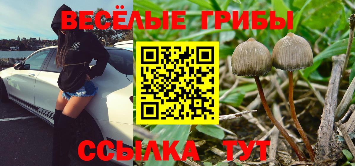 Галлюциногенные грибы MAGIC MUSHROOMS  Псилоцибиновые грибы GOLDEN TEACHER  Вход с VPN  Набережные Челны 