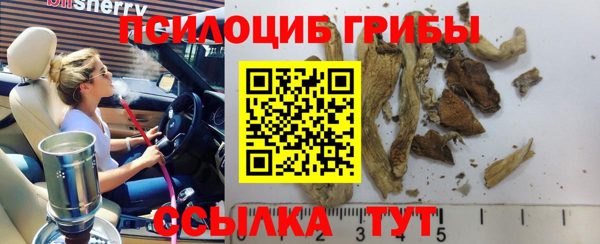 Псилоцибиновые грибы мицелий Набережные Челны